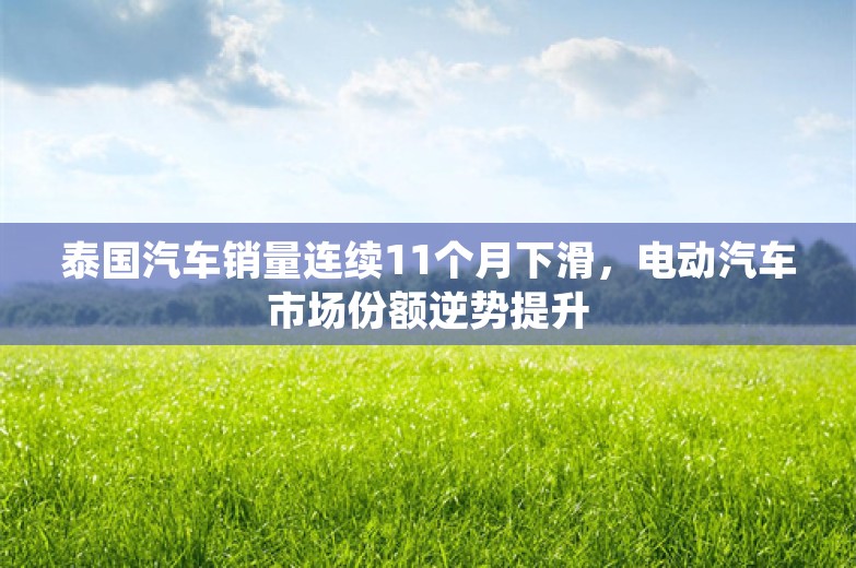 泰国汽车销量连续11个月下滑，电动汽车市场份额逆势提升