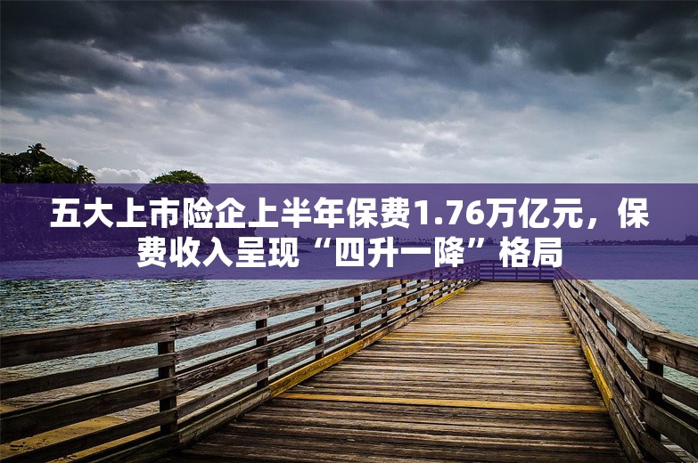 五大上市险企上半年保费1.76万亿元，保费收入呈现“四升一降”格局