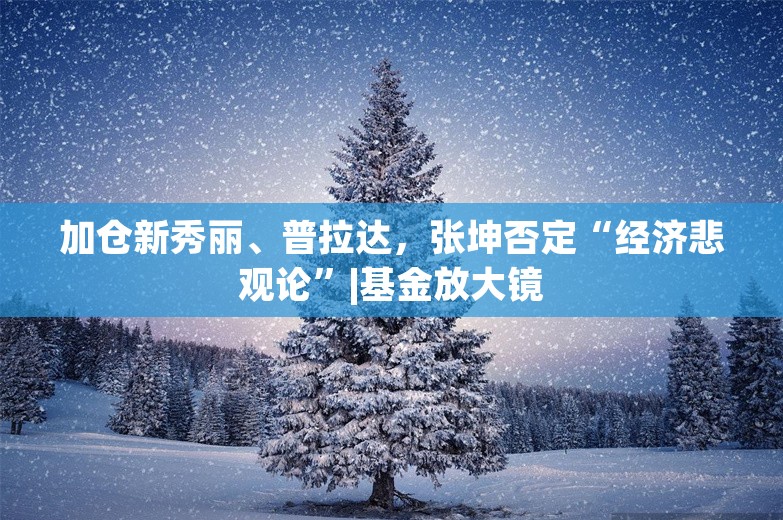 加仓新秀丽、普拉达，张坤否定“经济悲观论”|基金放大镜