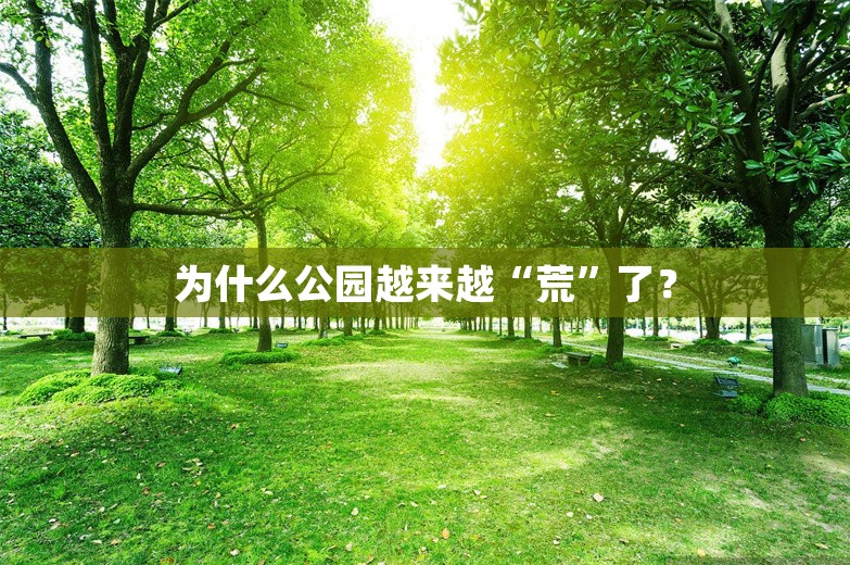 为什么公园越来越“荒”了？