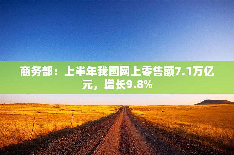 商务部：上半年我国网上零售额7.1万亿元，增长9.8%