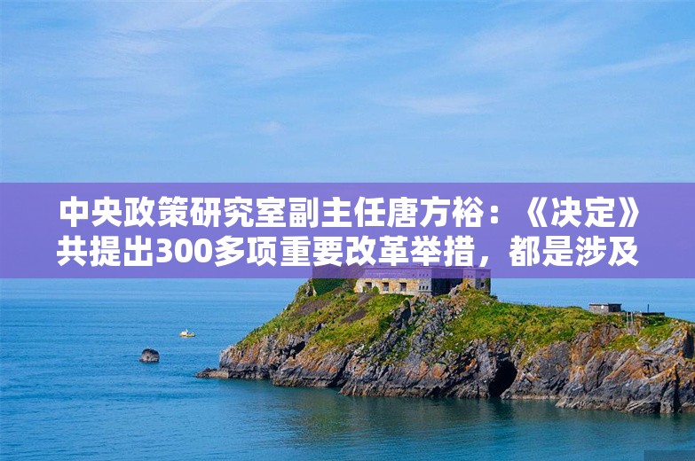 中央政策研究室副主任唐方裕：《决定》共提出300多项重要改革举措，都是涉及体制、机制、制度层面的内容