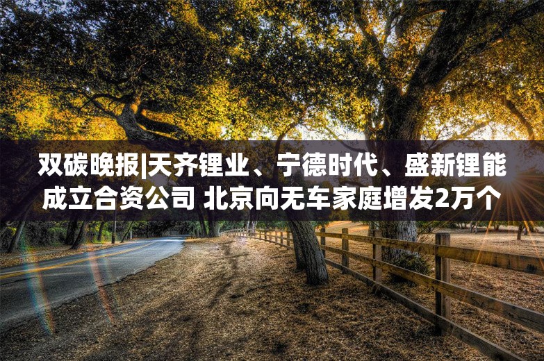 双碳晚报|天齐锂业、宁德时代、盛新锂能成立合资公司 北京向无车家庭增发2万个新能源指标