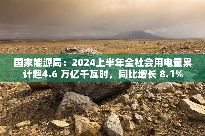 国家能源局：2024上半年全社会用电量累计超4.6 万亿千瓦时，同比增长 8.1%