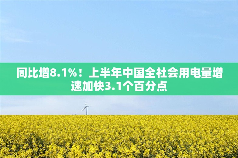 同比增8.1%！上半年中国全社会用电量增速加快3.1个百分点