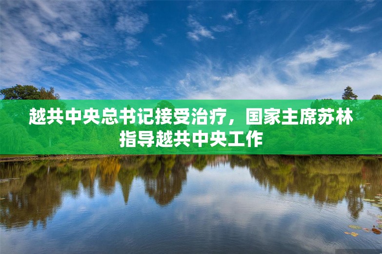 越共中央总书记接受治疗，国家主席苏林指导越共中央工作