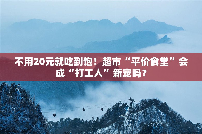 不用20元就吃到饱！超市“平价食堂”会成“打工人”新宠吗？