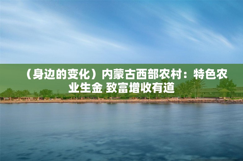 （身边的变化）内蒙古西部农村：特色农业生金 致富增收有道