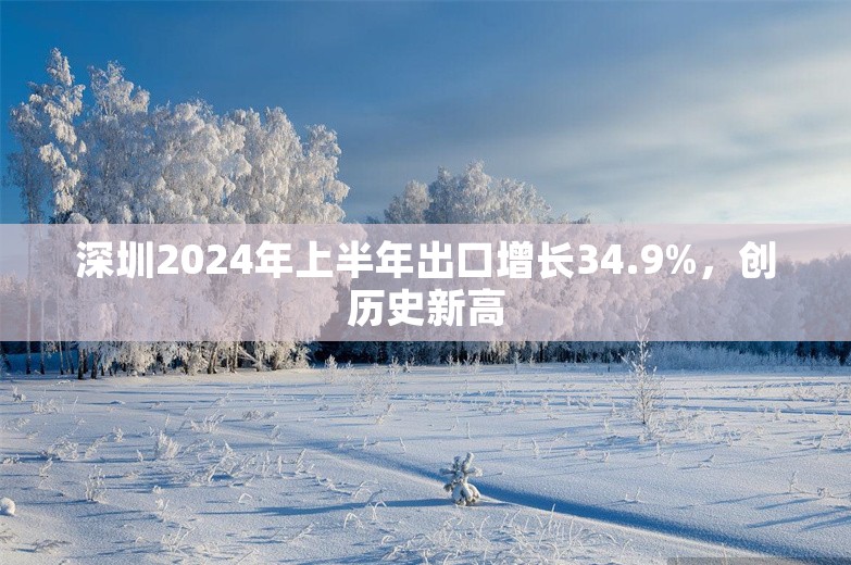 深圳2024年上半年出口增长34.9%，创历史新高