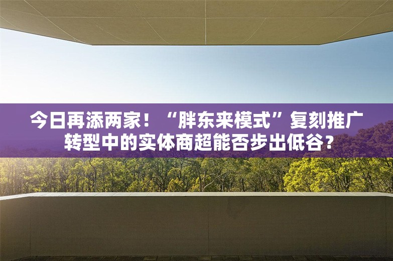 今日再添两家！“胖东来模式”复刻推广 转型中的实体商超能否步出低谷？