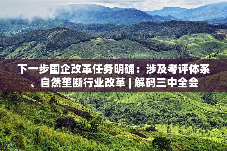 下一步国企改革任务明确：涉及考评体系、自然垄断行业改革 | 解码三中全会