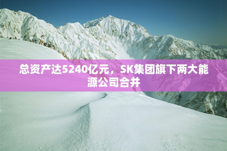 总资产达5240亿元，SK集团旗下两大能源公司合并