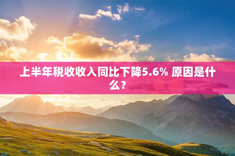 上半年税收收入同比下降5.6% 原因是什么？