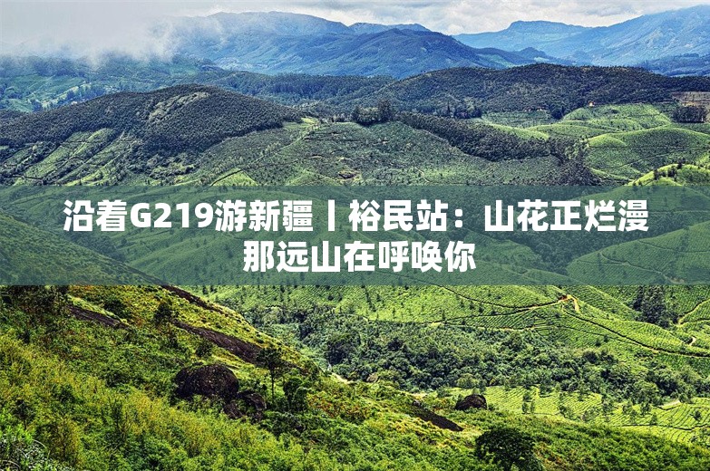 沿着G219游新疆丨裕民站：山花正烂漫 那远山在呼唤你