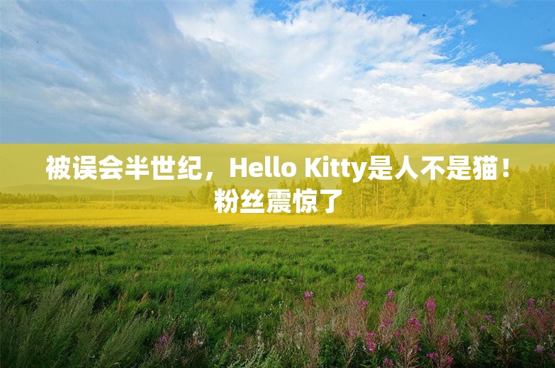 被误会半世纪，Hello Kitty是人不是猫！粉丝震惊了