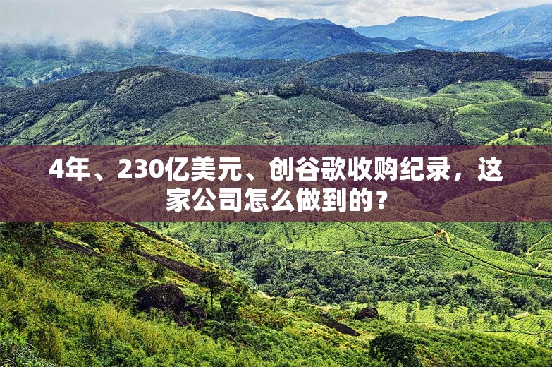 4年、230亿美元、创谷歌收购纪录，这家公司怎么做到的？