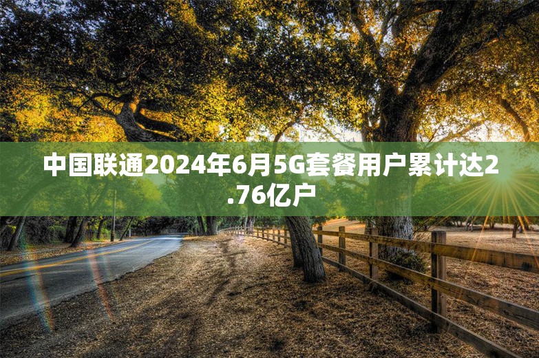 中国联通2024年6月5G套餐用户累计达2.76亿户