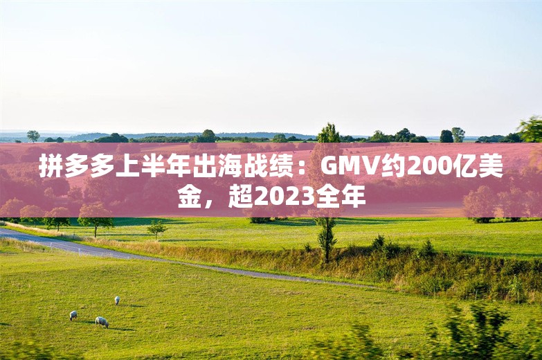 拼多多上半年出海战绩：GMV约200亿美金，超2023全年